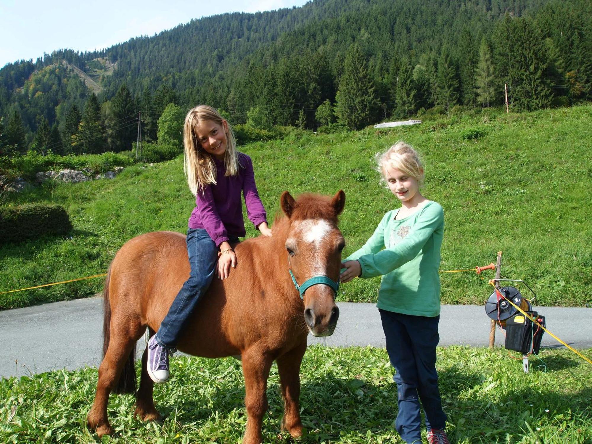 Ferienhof Obergasser Und Bergblick Weissensee Ngoại thất bức ảnh